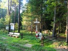 Ścieżka przyrodniczo-historyczna Borownica
